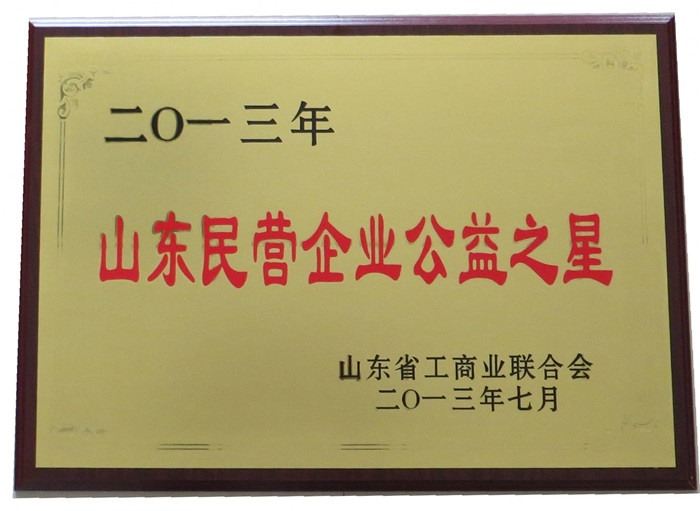 山東民營(yíng)企業(yè)公益之星