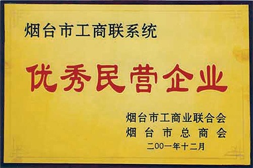 優(yōu)秀民營(yíng)企業(yè)